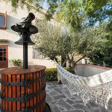 Гостьовий будинок Masia Can Tramontana Tiana Екстер'єр фото