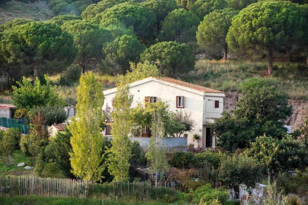 Гостьовий будинок Masia Can Tramontana Tiana Екстер'єр фото